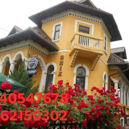 Pensiunea Onix Făgăraş Dış mekan fotoğraf