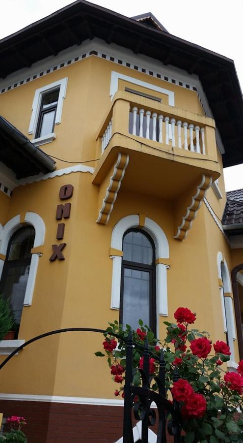Pensiunea Onix Făgăraş Dış mekan fotoğraf