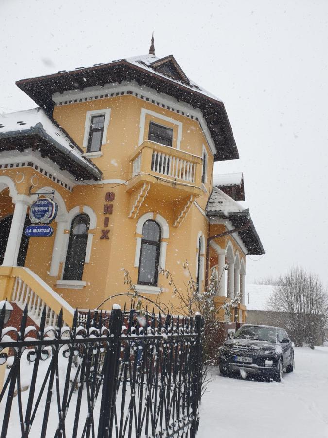 Pensiunea Onix Făgăraş Dış mekan fotoğraf