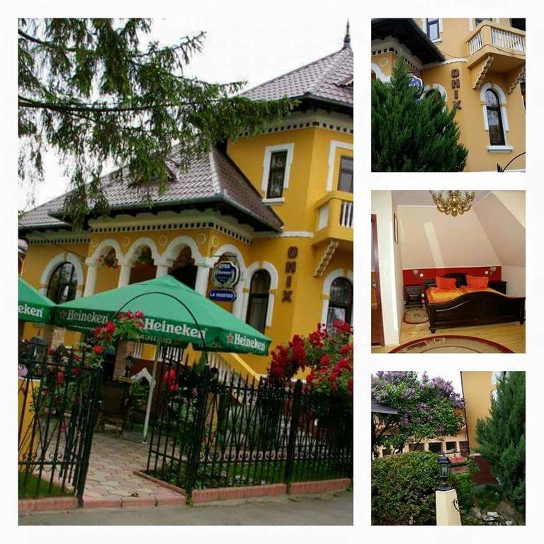 Pensiunea Onix Făgăraş Dış mekan fotoğraf