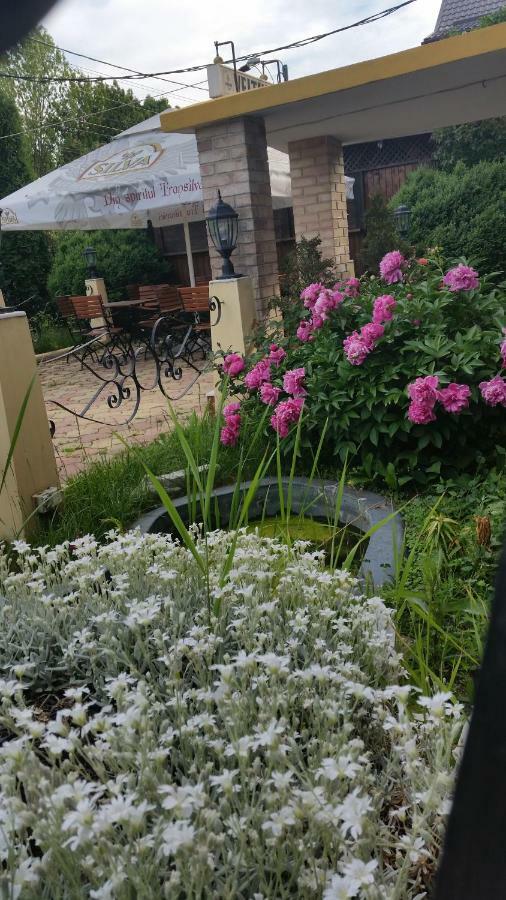 Pensiunea Onix Făgăraş Dış mekan fotoğraf