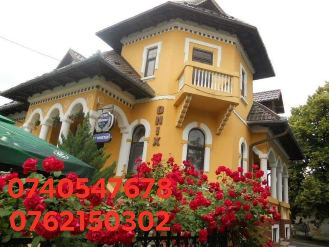 Pensiunea Onix Făgăraş Dış mekan fotoğraf