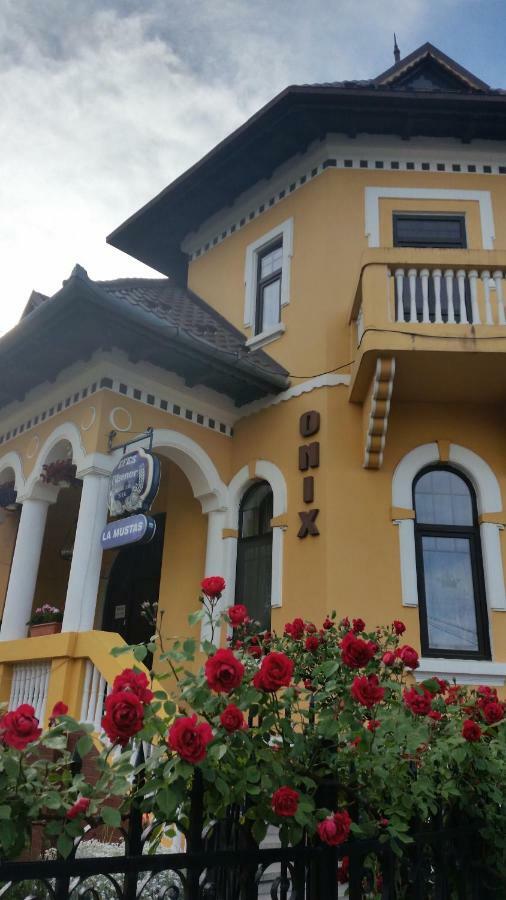 Pensiunea Onix Făgăraş Dış mekan fotoğraf